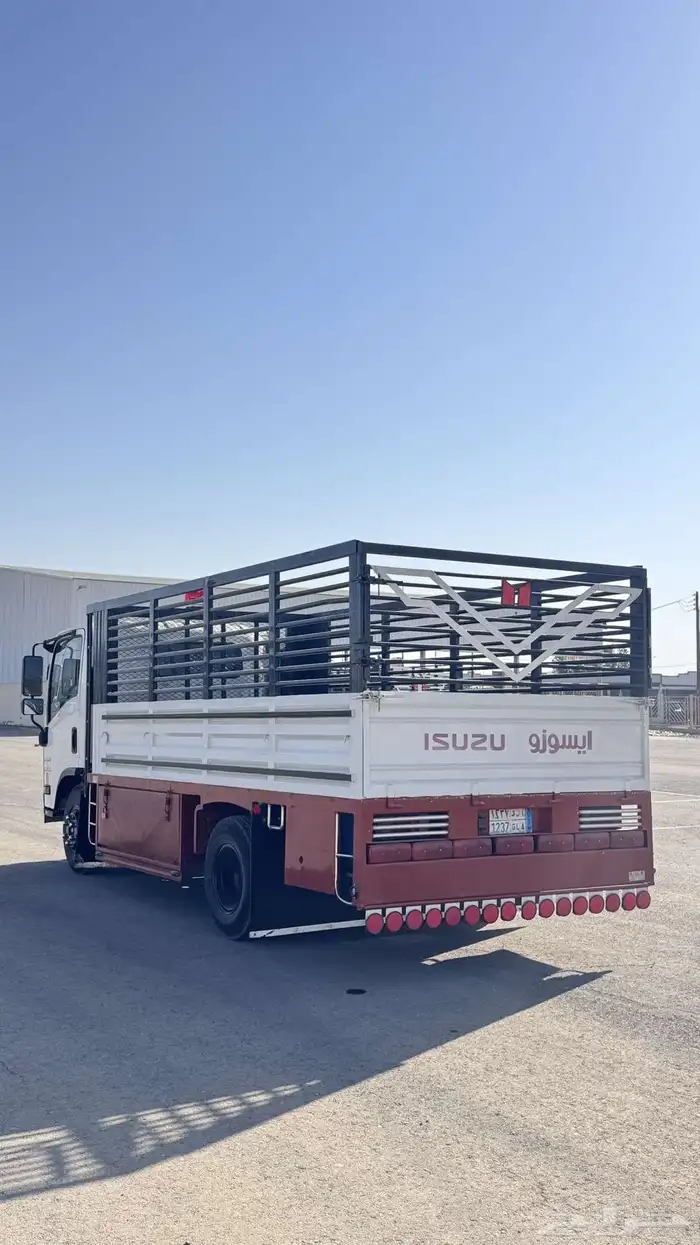 دينة ايسوزو 2011 1