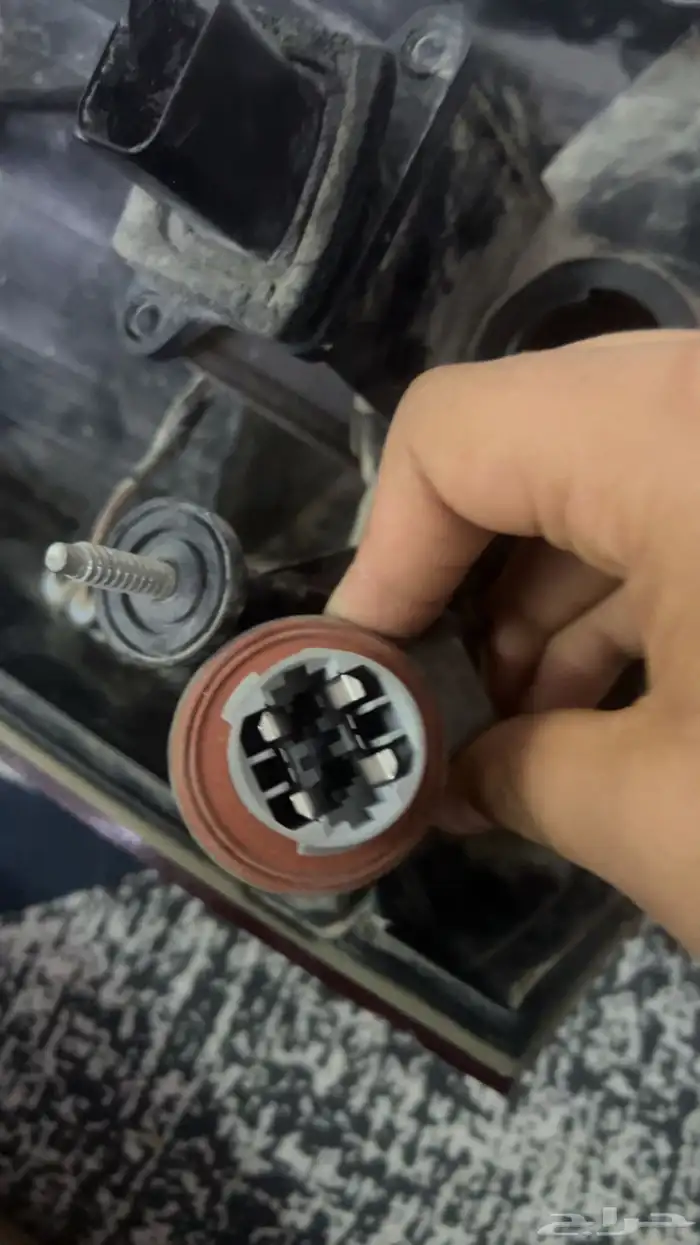 سطب كلايزلر 1