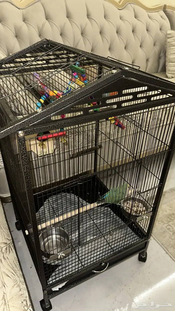 مستلزمات طيور 0