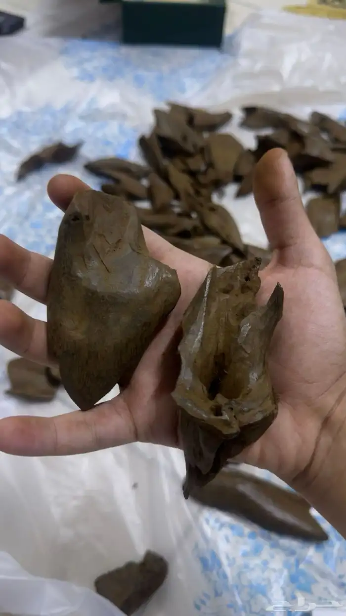 عود مروكي دبل سوبر عالي آصقون صفايح 4