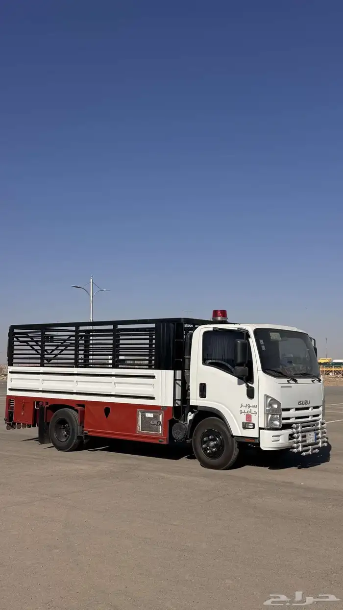 دينة ايسوزو 2011 0