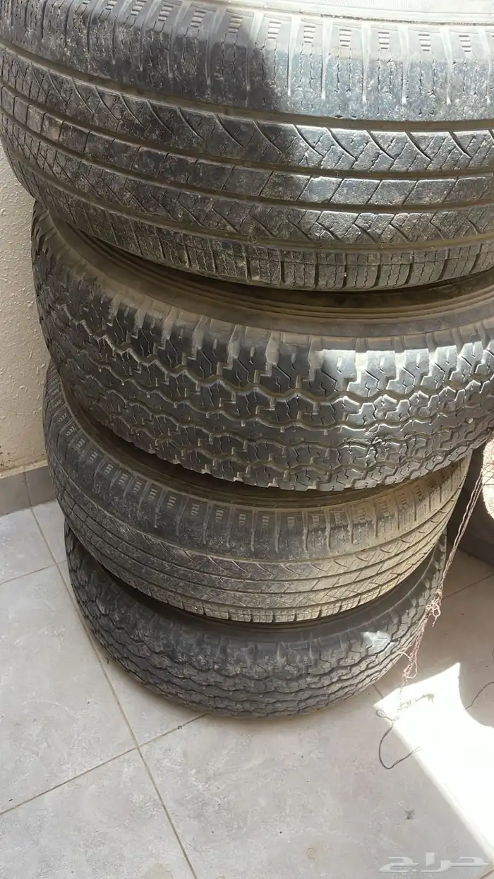 جنوط ليمتد 3