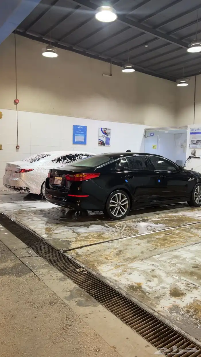 جنوط كيا ابتما 2014 0