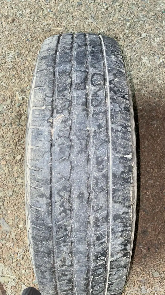 جنوط جيب شاص 3