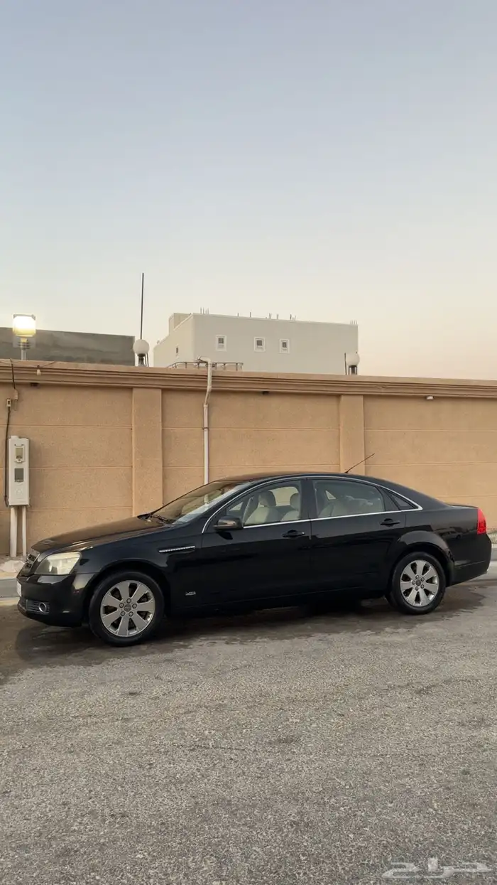 للبيع جنوط كابرس بيتزا 1