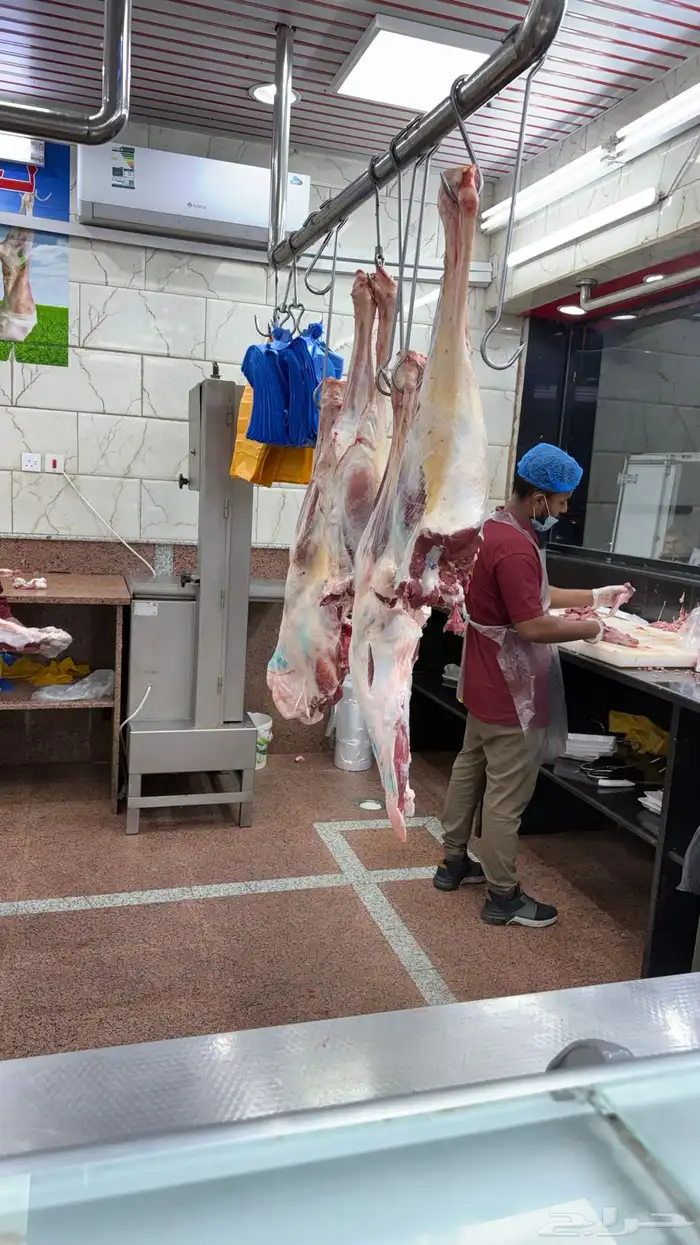 نعيمي سواكني نعيمي كشميري مفروم عجل وغنم 5