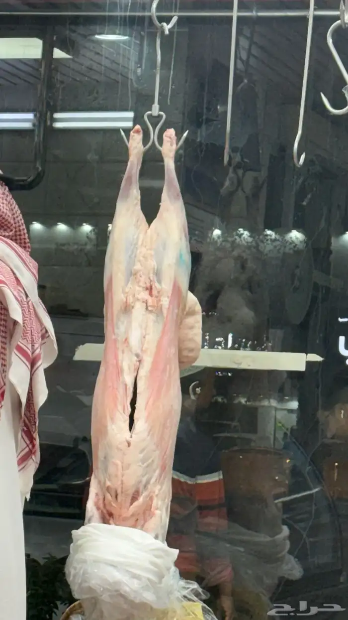 نعيمي سواكني نعيمي كشميري مفروم عجل وغنم 11