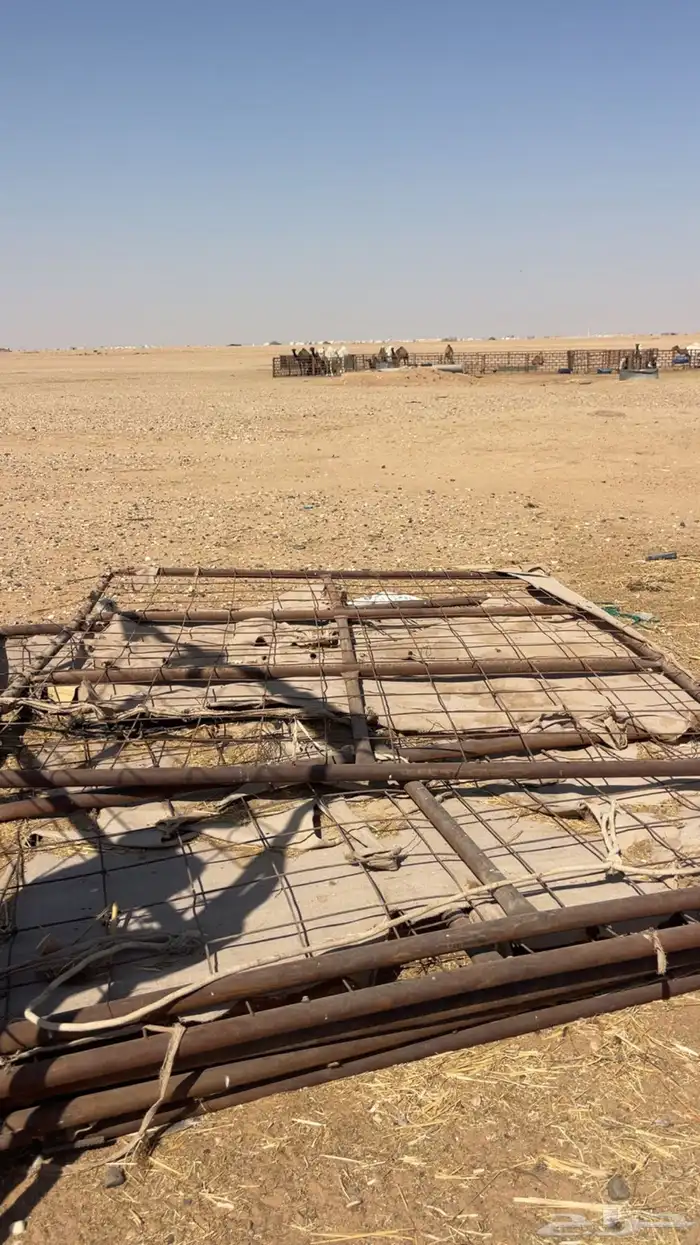 شبوك تور للبل 1