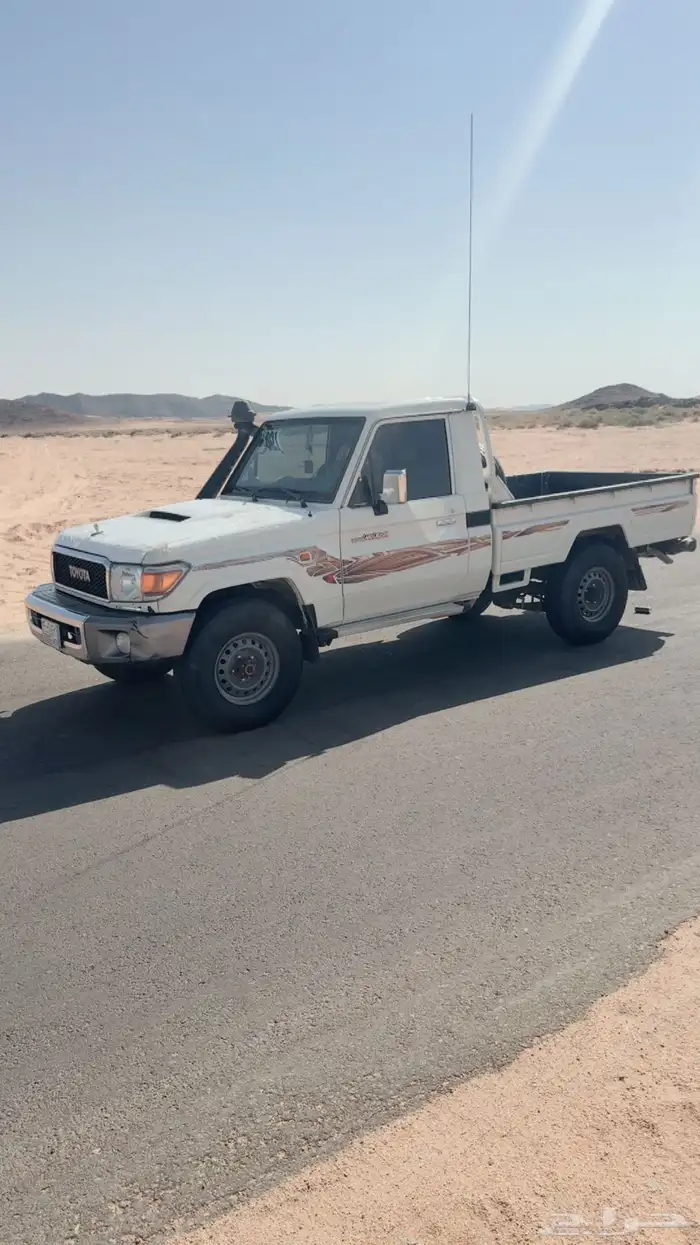 شاص المديل2021 3