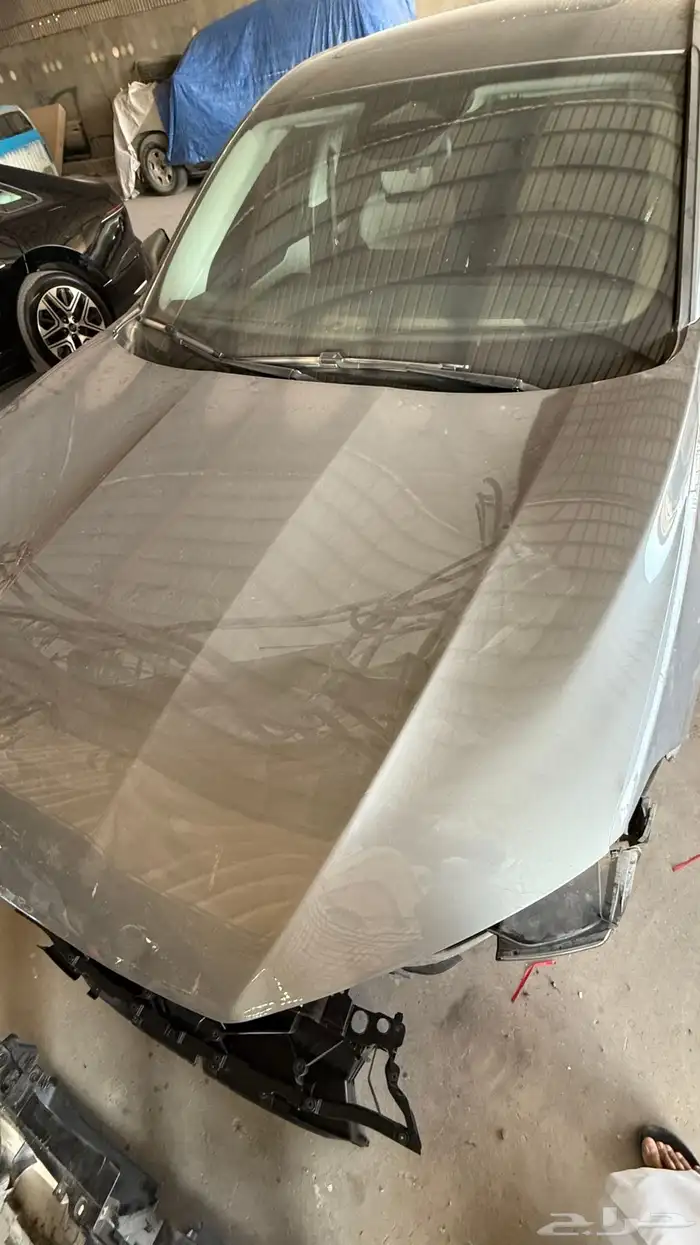 كبوت تورس 2023 - 2024 2