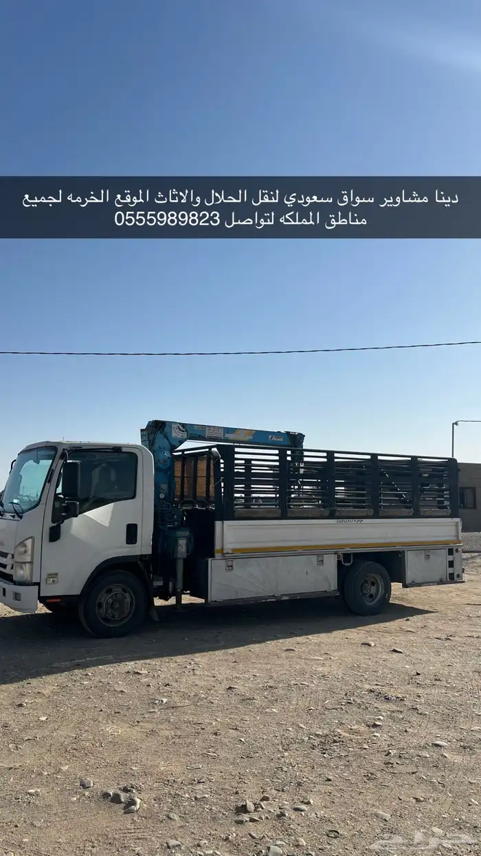 دينا مشاوير 0