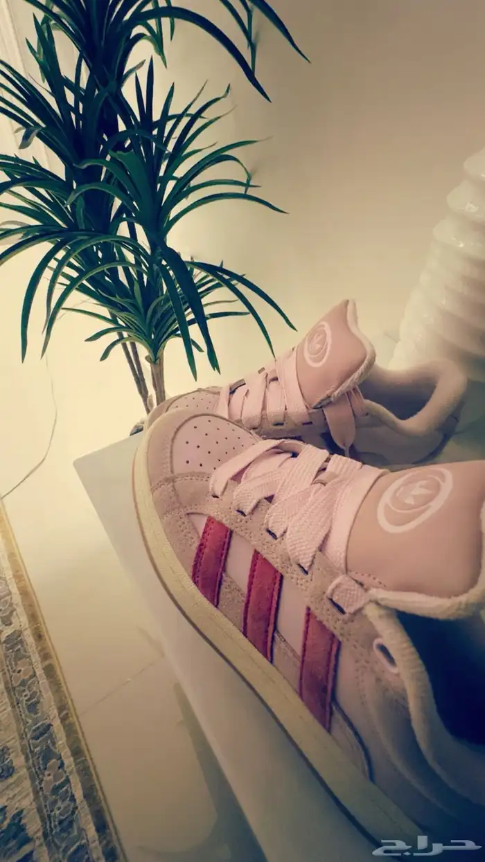 شوز ايدداس جديد اصللي استخدام مره وحده 2