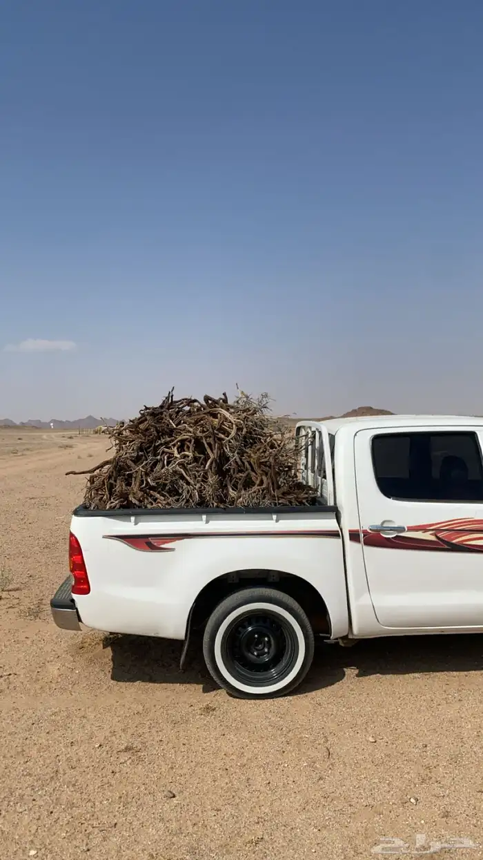 للبيع صندوق غمارتين شين طيب وجروم 0