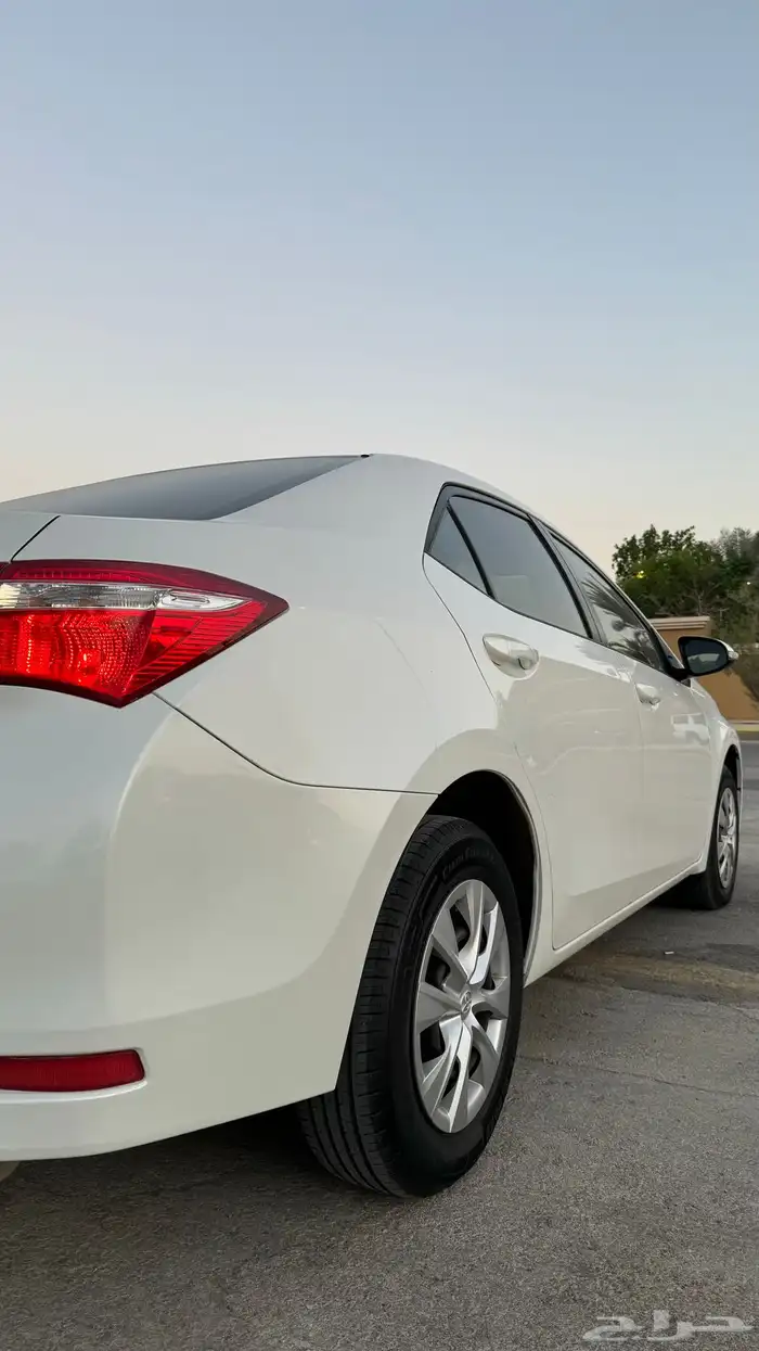 كورولا 2015 اخو الجديد 11