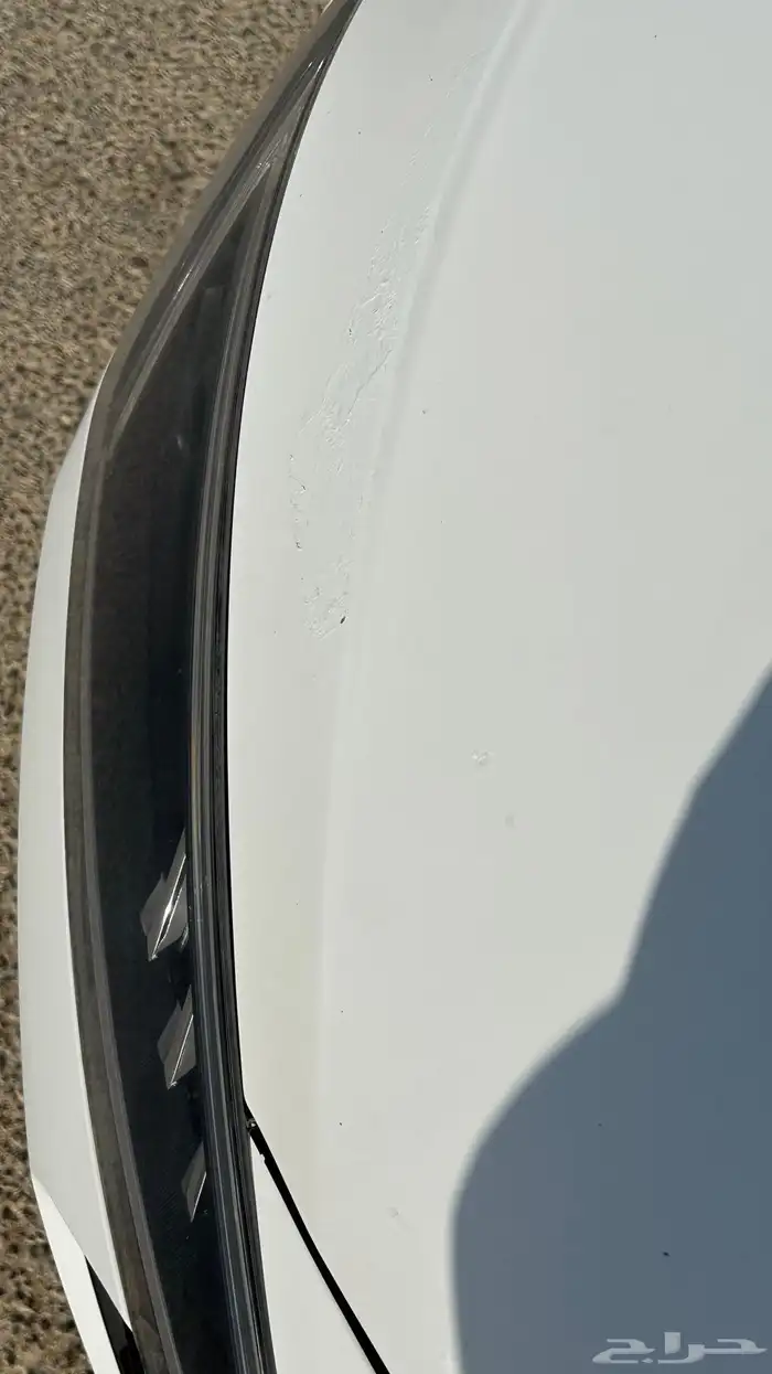 النترا 2019 2.0 14