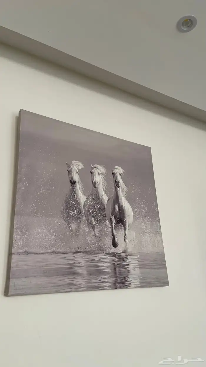 لوحة خيل من هوم سنتر 0