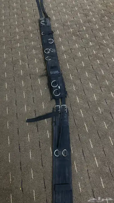 حزام عسافه استيتوس index