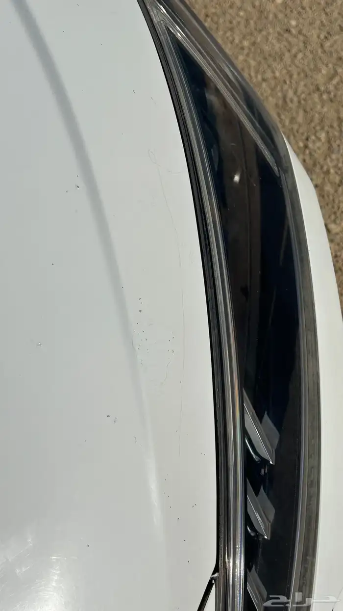 النترا 2019 2.0 13