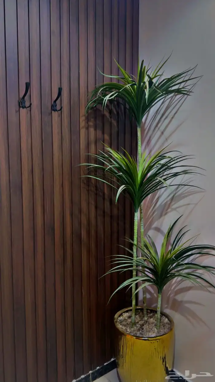 شاليهات حور 24