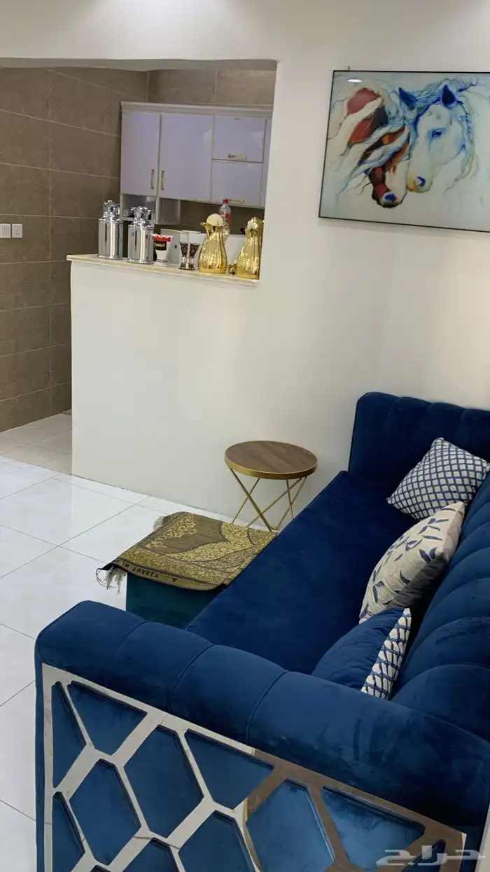 استراحة وشاليه 9