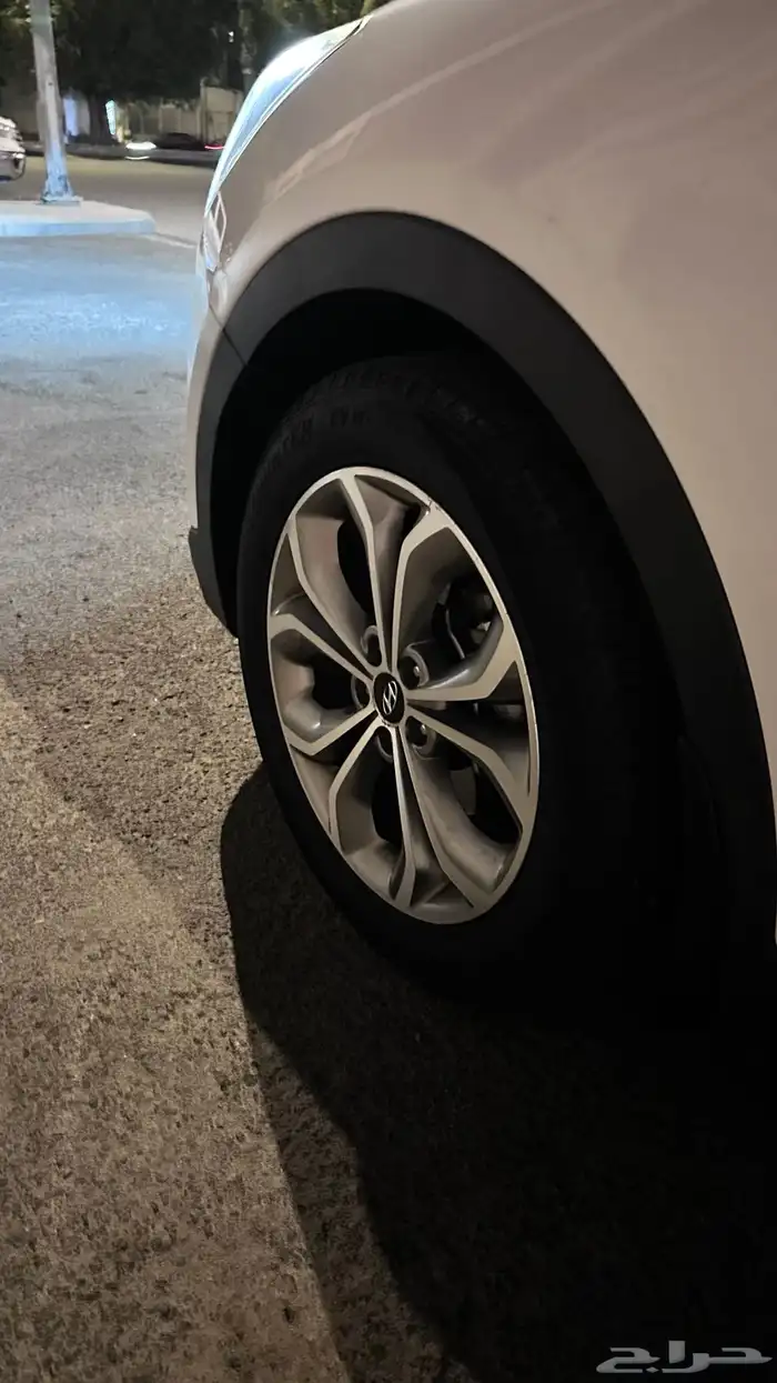 سنتافي 2015 14