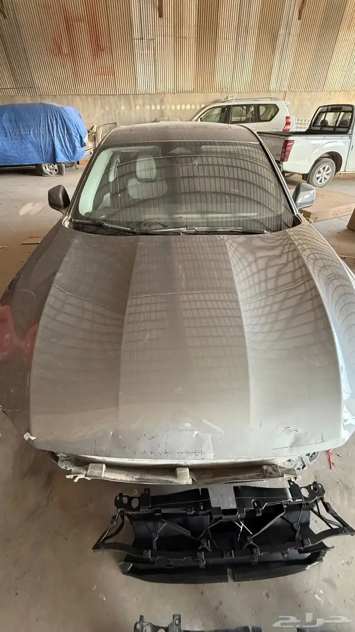 كبوت تورس 2023 - 2024 0