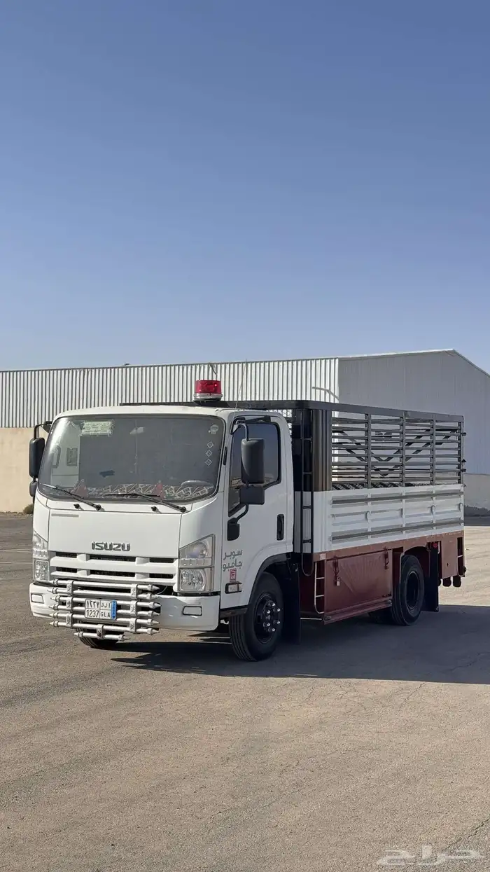 دينة ايسوزو 2011 5