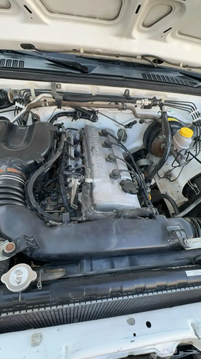 ددسن 2010 تم للبيع 13