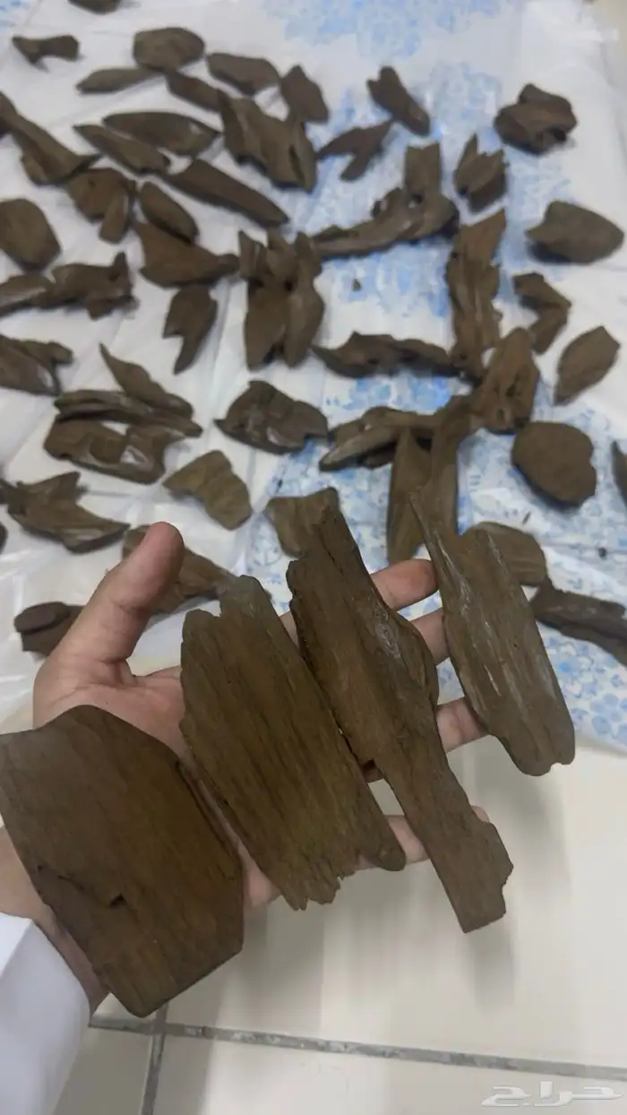 عود مروكي دبل سوبر عالي آصقون صفايح 0