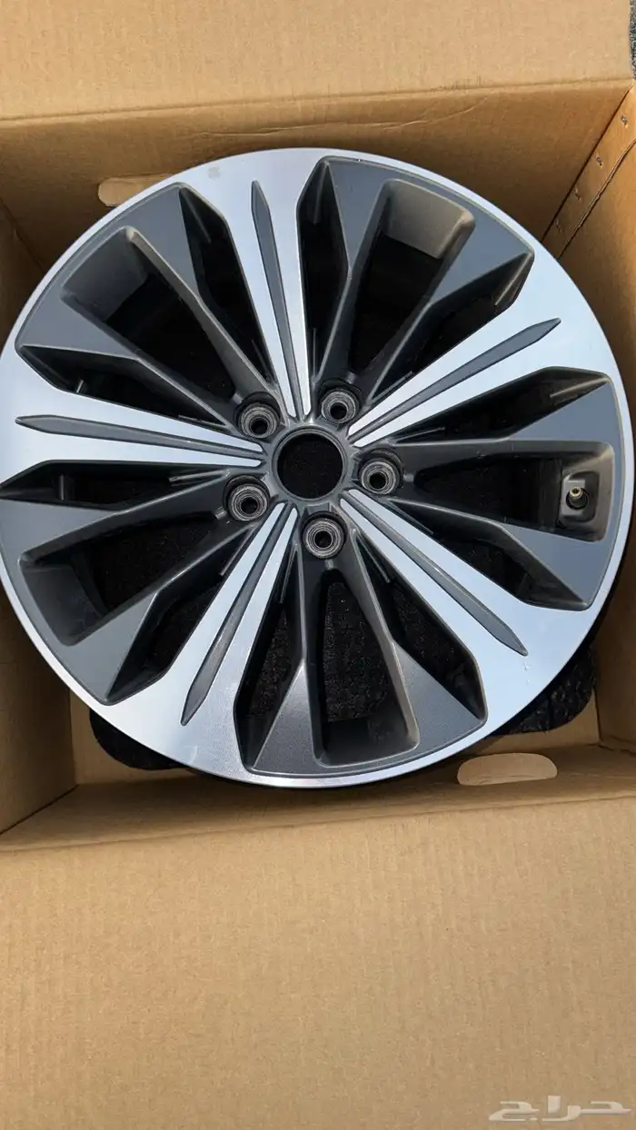 جنوط كيا كي8 K8 1