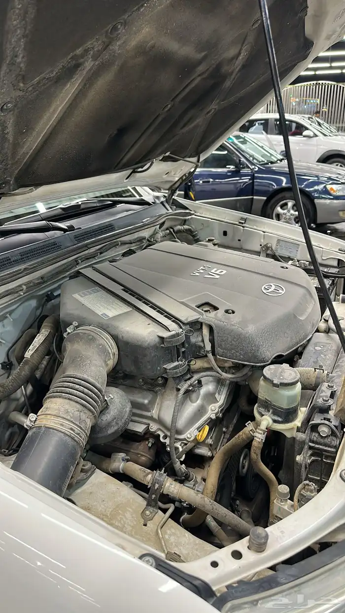 فورتنشر 2011 مخزن قير عايدي نظيف جدا 33