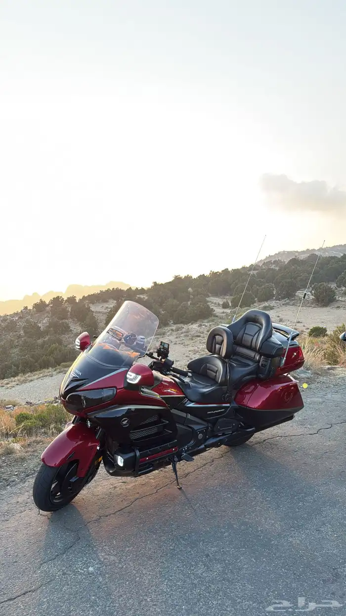 قولد وينق 2015 كود ريد اصدار 40 عام 5