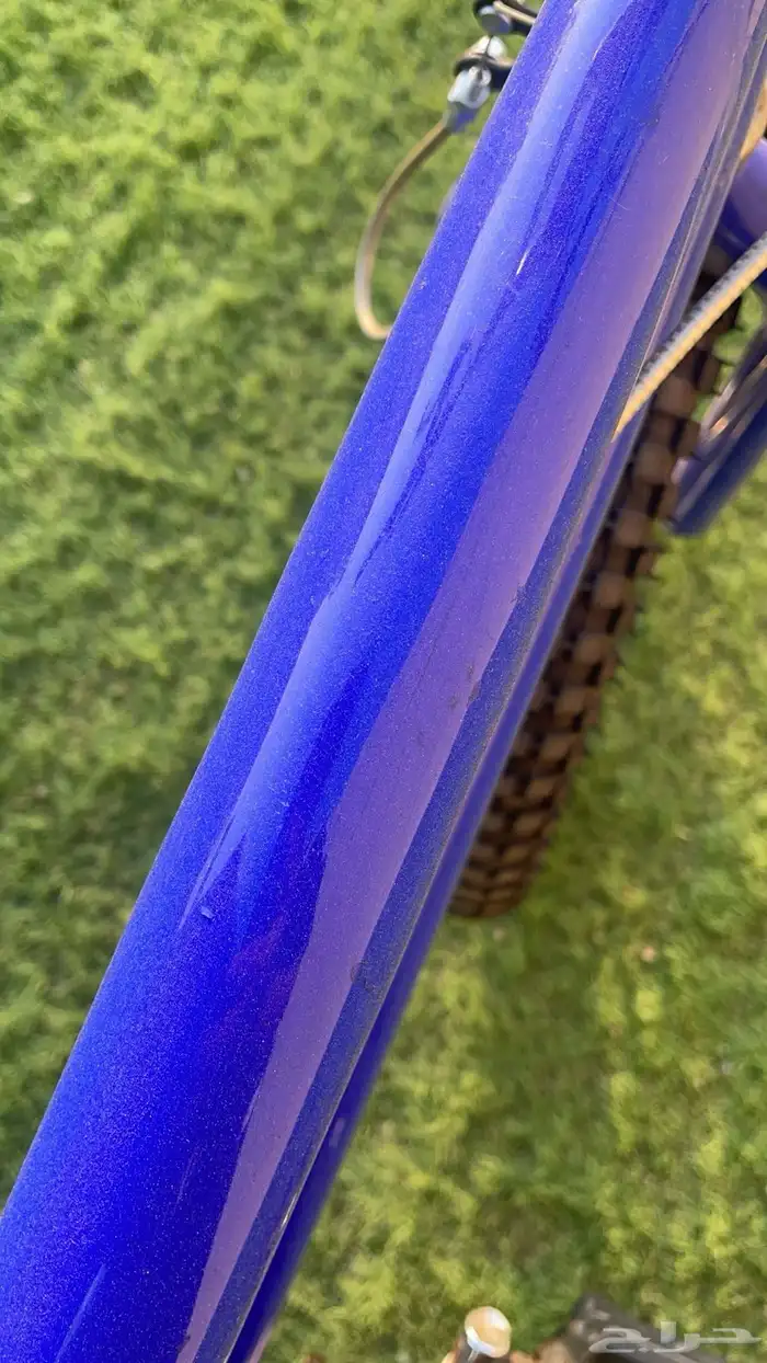 سيكل كوبرا ازرق مقاس عشرين 5