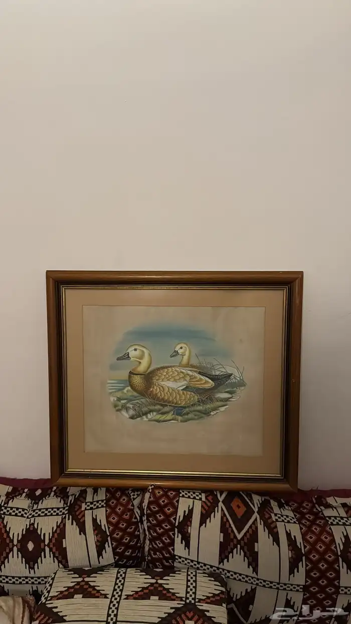 لوحات كلاسيك فنتج قديمة و بحالة سليمه 4