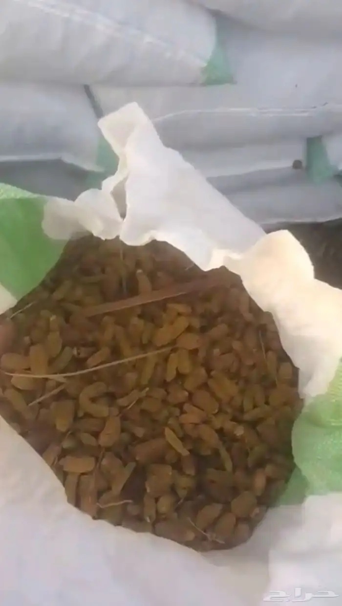 تمر اعلاف 500 خيشه 0