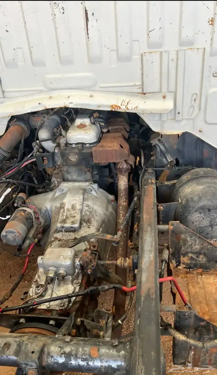 دينه كياء مسقط 7