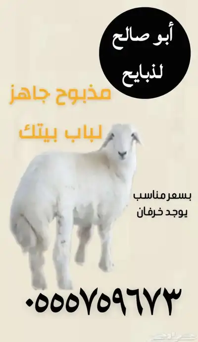 ذبايح الرس ابونايف 0