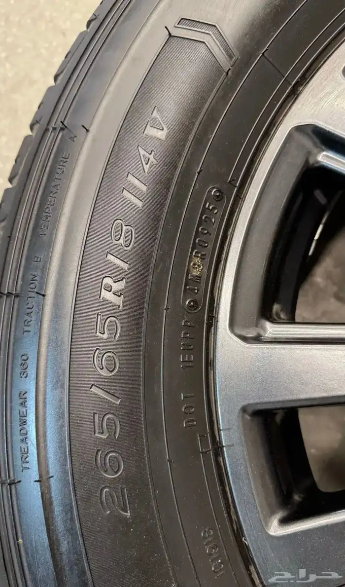 كفرات دانوب 2025 5