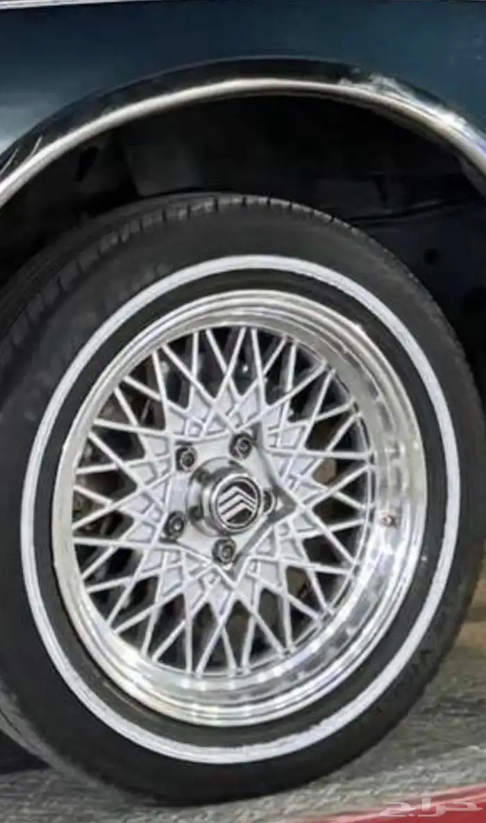 جنوط فورد ( خليه ) 1