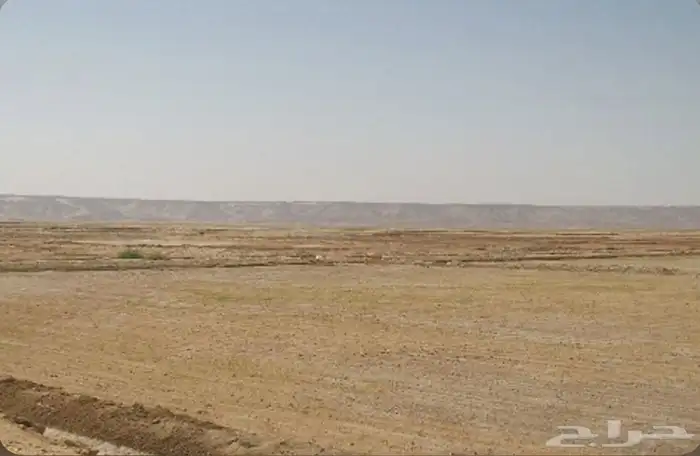 مطلوب ارض زراعية للإيجار لاتقل المساحه عن 50الف 0