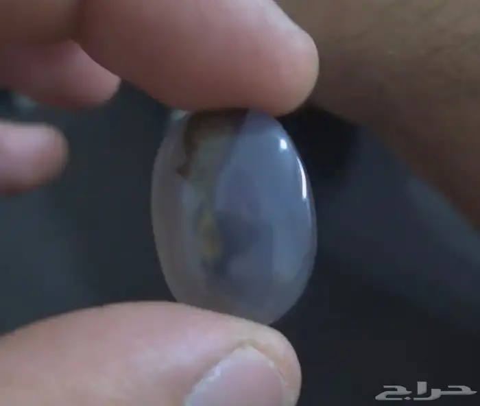 سبحان الله نوادر النوادر - ع ف ر ي ت 1