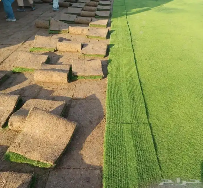 تنسيق حدائق وتركيب جميع انواع الثيل الصناعى والطبيعى 1