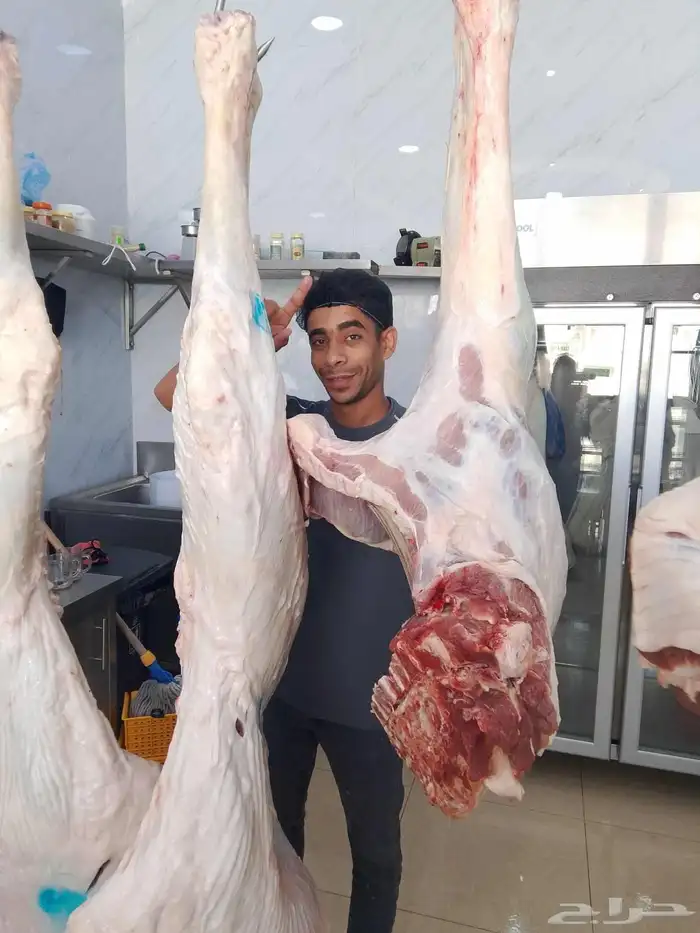 معلم جزار وتجهيز مشويات ابغى شغل 0