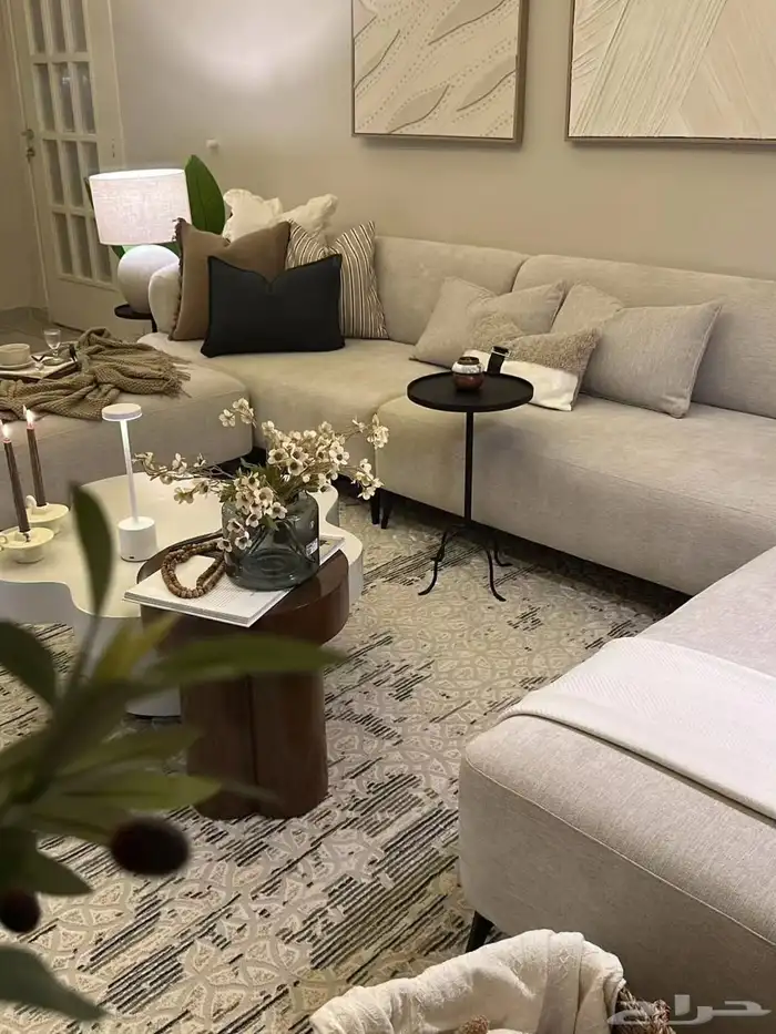 كنب زويه أمريكي الهبه الجديده 3