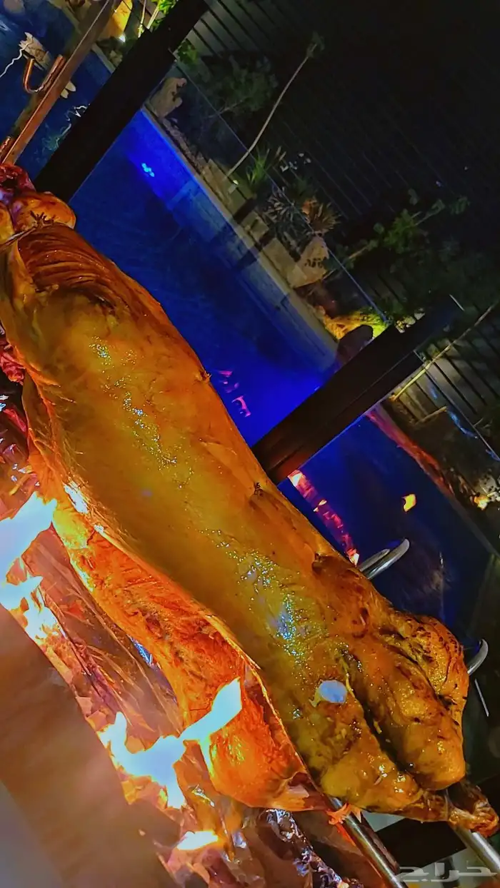 خروف مشوي على الجمر 9