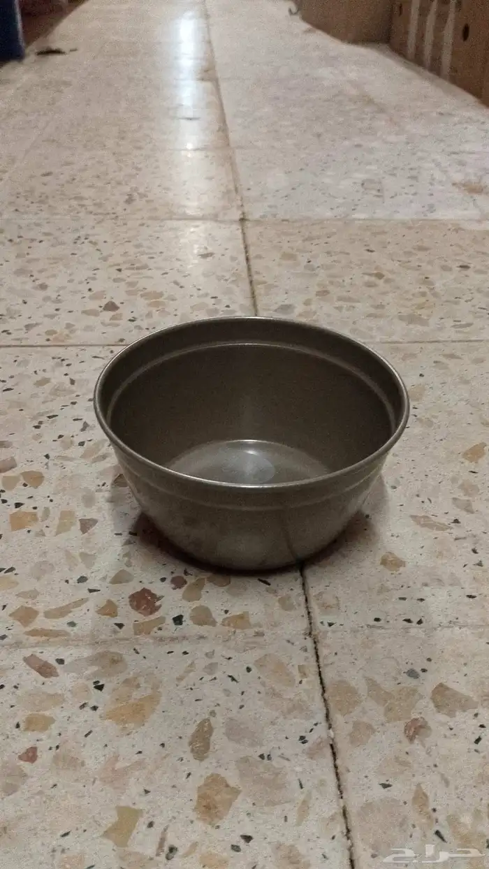 صياني حلا شوكولاتا فاضية ( صياني تجارية ) 20