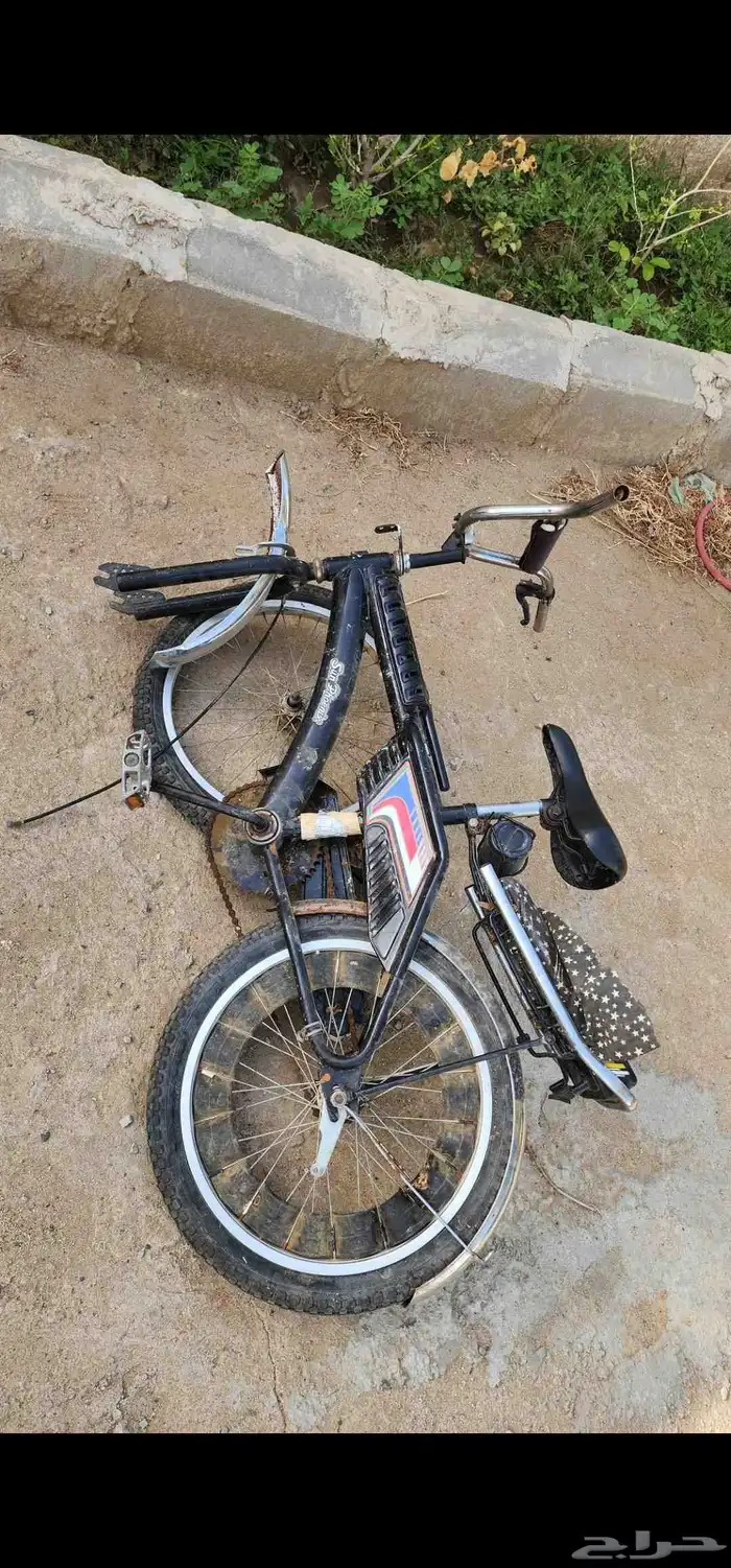 سيكل رامبو الأصلي 2