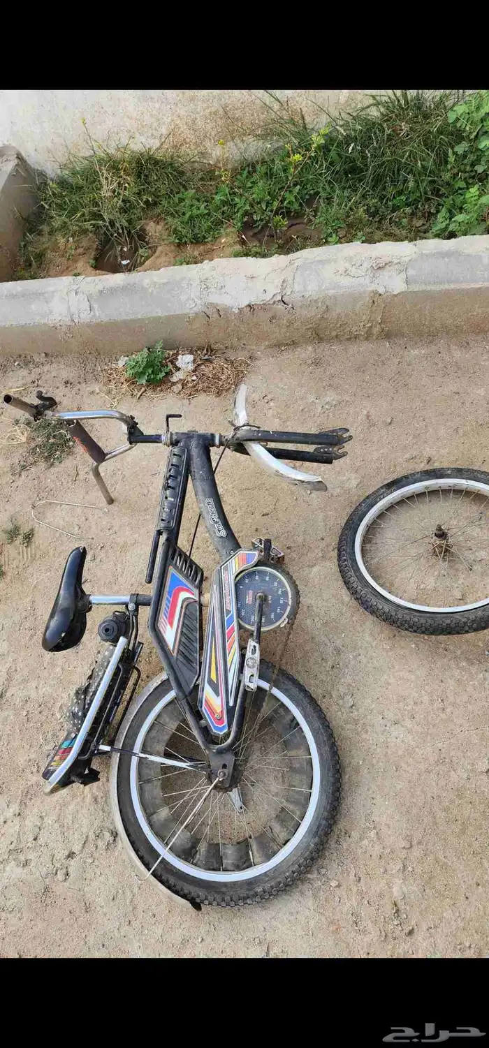 سيكل رامبو الأصلي 0