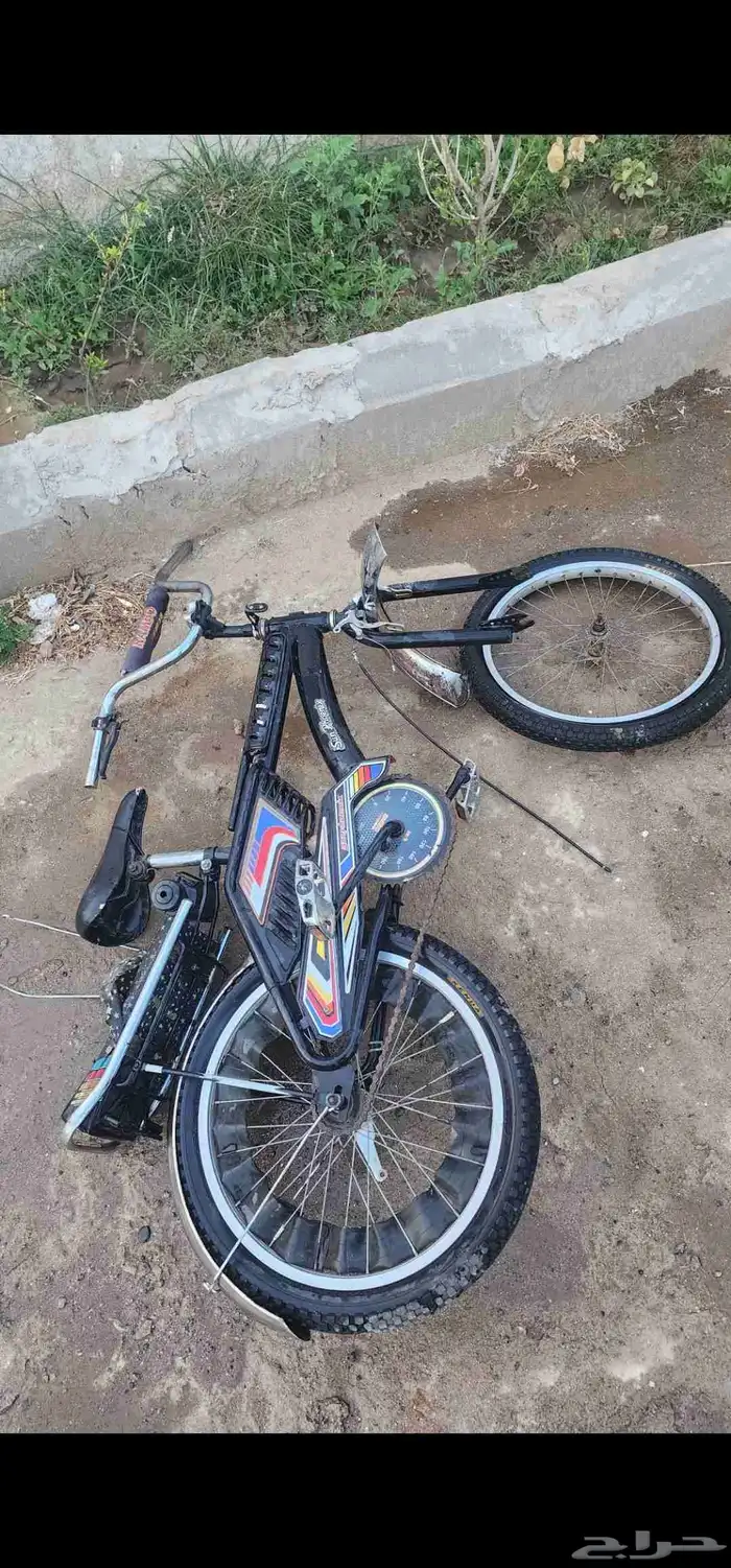 سيكل رامبو الأصلي 3