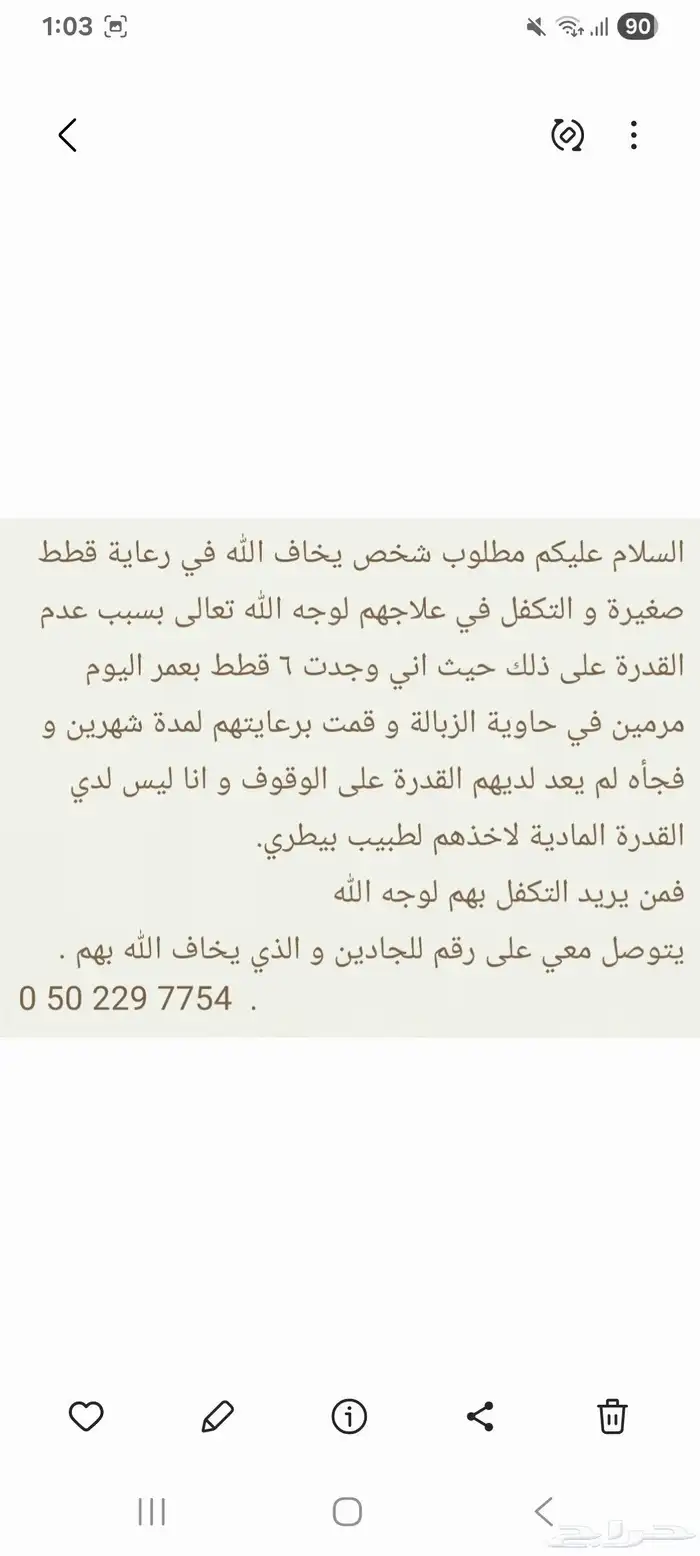 قطط بعمر الشهرين للتبني بسبب عدم القدرة على علاجهم . 2